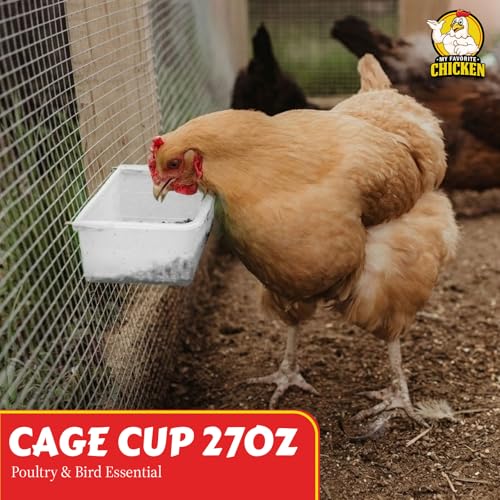 My Favorite Chicken Cage Cup 27oz – Hanging Chicken Feeder & Hanging Chicken Waterer for Chick, Quail, Duck, Parakeet – Small Poultry Waterer & Feed Dish – Cage & Coop Accessories - color: White