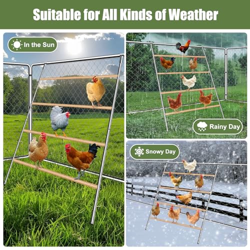 Chicken Coop Roosting,Chicken Roosting Bars for Chicken Coop,Backyard Chicken Raising Poultry Habitat Supplies, Wooden Easy Assembly for Backyard Poultry (55' L x 40' W)