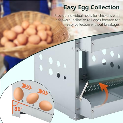 Chicken Nesting Box for Laying Eggs - 4 Room Chicken Laying Boxes, Nesting Boxes for Chickens, Heavy Duty Metal Chicken Coop (22.05" L x 16.92" W x 25.59" H) - size: 22.05" L x 16.92" W x 25.59" H