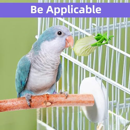 6Pcs Rat Enrichment Toys, Stainless Steel Rat Foraging Toy for Fruit Vegetable Holder, Bird Food Holder Hanging Slow Feeder Clip for Parrot Bird Rodents