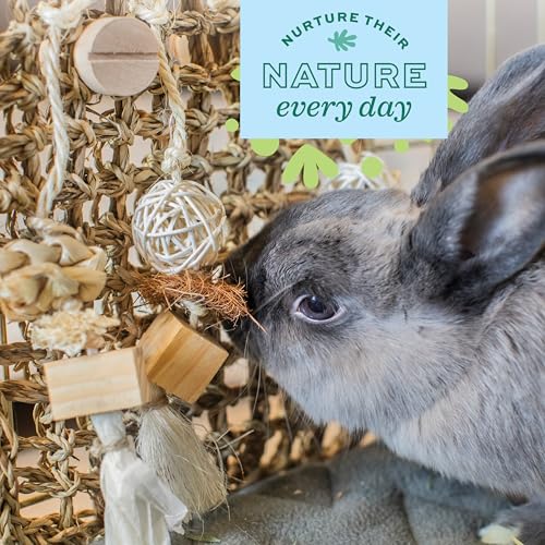 Oxbow Enriched Life Play Wall, Rabbit & Guinea Pig Toy, Enrichment for Bunny, Guinea Pig, Hamster, Rabbit, Chinchilla, Rat, Chinchilla Cage Accessories, Bunny Accessories for Cage, Small - size: .27 LB