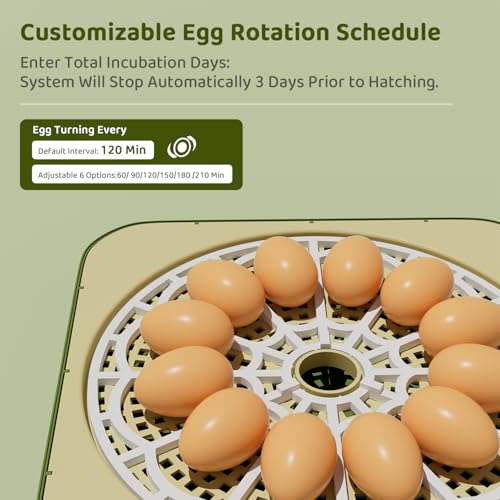 Ovatt 12-Egg Incubator with LED Display, Automatic Temperature and Humidity Control, and Automatic Egg Turner for Chicken, Duck, Quail, and Goose Eggs—Ideal for Home and Small Farms