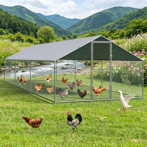 Large Metal Chicken Coop, Walkin Poultry Cage for 30 Chickens with Full-Coverage PE Roof, Waterproof & Anti-UV Cover, Double Lockable Doors, Outdoor Hen/Duck/Rabbit House (20x10x 6.5 FT) - size: 236.0"L x 118.0"W x 79.0"H