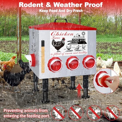 50Lb Automatic Chicken Feeder with Window 10 Port No Waste Rust-Proof Galvanized Steel with Locking Lid & Adjustable Height Legs Waterproof Portable Poultry Feeder for Chickens,Ducks,Geese - size: 50LB