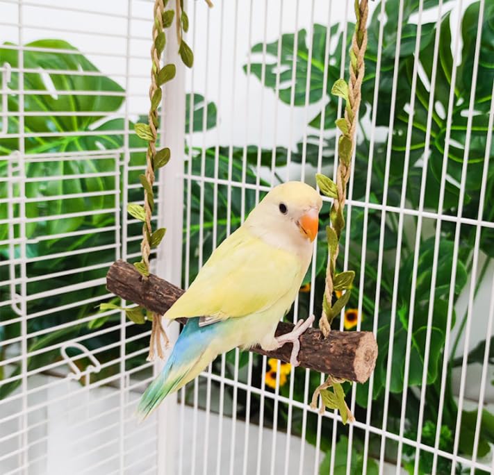 Wooden Chicken Swing Perch with Hanging Chains for Birds | Natural wood swing perch with chains for chicken coops, bird cages, parrot play areas and backyard flock enrichment