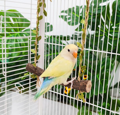 Wooden Chicken Swing Perch with Hanging Chains for Birds | Natural wood swing perch with chains for chicken coops, bird cages, parrot play areas and backyard flock enrichment