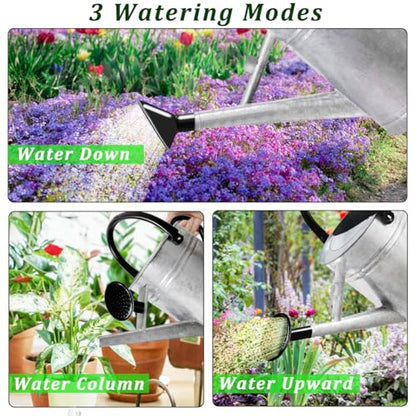 1 Gallon Metal Watering Can with Removable Spout, Nice Galvanized Steel Water Can for Indoor and Outdoor Plants (House Plants) - color: Silver