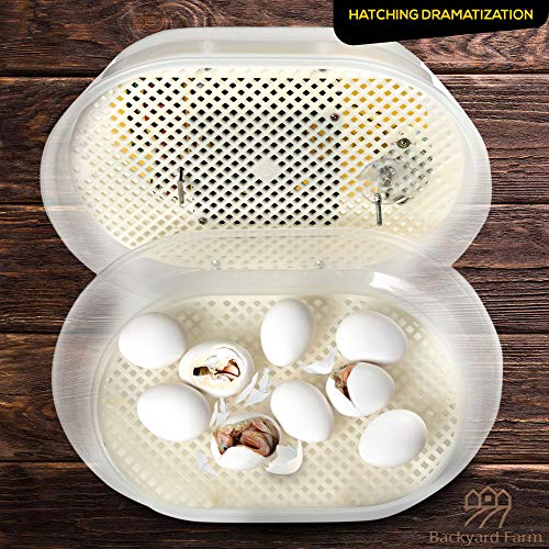 HatchMate™ Egg Incubator with Automatic Egg Turning and Humidity. Small & Portable for Hatching 9-12 Eggs. Hatch Chickens Quail Duck Turkey Parakeet & More