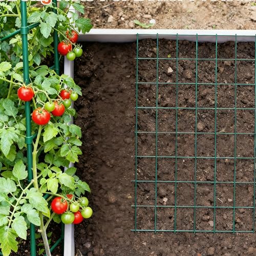Wire Mesh Roll for Poultry Cages 36IN x50FT- Heavy Duty Fencing Net for Farm Garden Animal Plant Protection, Chicken Wire Fence, Easy to Install Fencing for Rabbits, Birds, Vegetables (Green) - color: Green