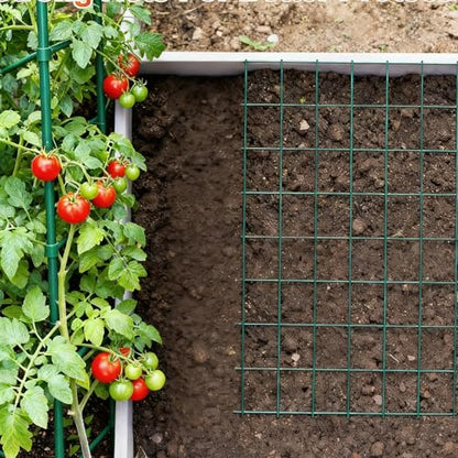 Wire Mesh Roll for Poultry Cages 36IN x50FT- Heavy Duty Fencing Net for Farm Garden Animal Plant Protection, Chicken Wire Fence, Easy to Install Fencing for Rabbits, Birds, Vegetables (Green) - color: Green