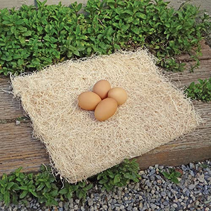 PRECISION PET Chicken Nesting Pads by Petmate – 13” x 13” Premium Chicken Bedding Fit Most Nesting Boxes – 40 Pack,Beige, Made in USA - size: 10 Count (Pack of 4)