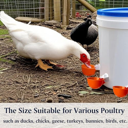 Chicken Automatic Waterer Cups, 6pcs Large Chicken Water Feeder, Poultry Waterer Kits Suitable for Duck, Chicks, Goose, Turkey, Bunny and Bird with Mounting Hole Opener