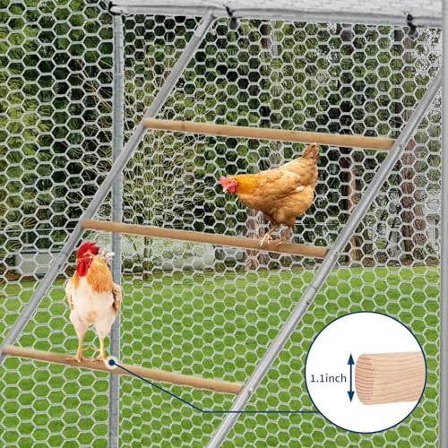 TrailBlaze Heavy-Duty Chicken Perch & Ladder for Coop – Durable Weatherproof Roosting Bars, Non-Slip Easy-Clean Design, Promotes Activity for Poultry, Ducks, Geese, Pigeons, Farm Accessory, Size: - size: 55"L x 40"W