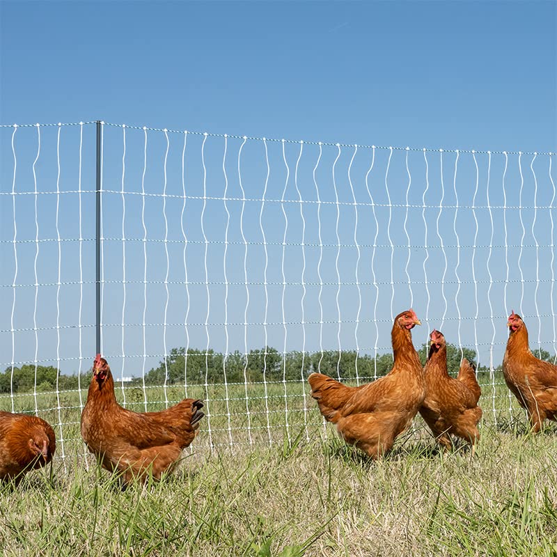 Premier 1 PoultryNet® 48"H x 100'L Portable Electric Double Spike Fence | Rigid PrimaPosts™ for Extra Strength | Green/White Fence for Chickens, Ducks, Geese - color: Double Spike, Green/White