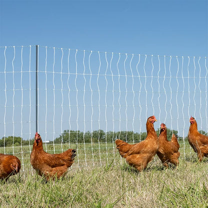 Premier 1 PoultryNet® 48"H x 100'L Portable Electric Single Spike Fence | Rigid PrimaPosts™ for Extra Strength | Blue/White Fence for Chickens, Ducks, Geese - color: Single Spike, Blue/White