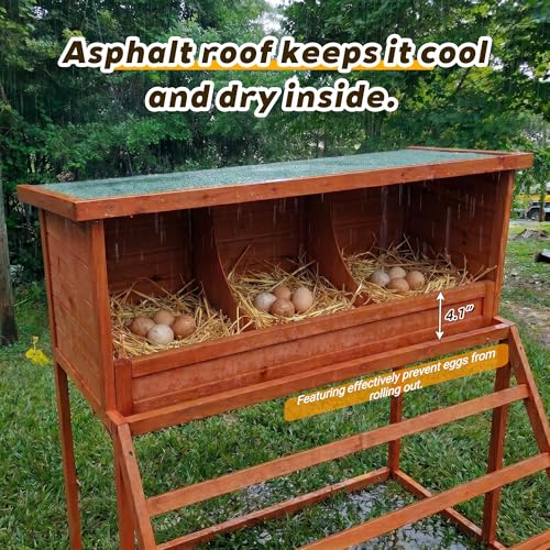Wooden Chicken Nesting Box with 3 Compartments, 3-in-1 Chicken Coop Box with Swing Ladder & Perch, Asphalt Roof Laying Box for Hens, Ducks & Poultry
