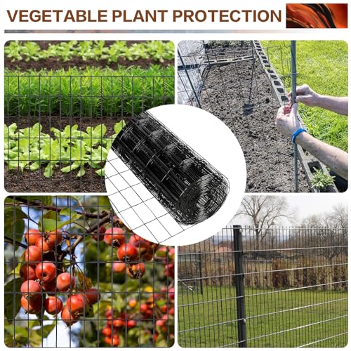 Tongmo 3 ft x 100 ft Black PVC Coated Welded Wire Fence, 16GA Garden Chicken Wire Fence Roll, Mesh Size 2" x 4" Hardware Cloth, Ideal for Yard Protection and Poultry Netting - color: Black, size: 3ft*100ft