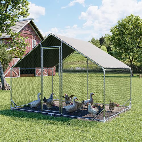 Large Metal Chicken Coop Walk-in Poultry Cage Hen Run House Habitat Spire Shaped Cage with Waterproof and Anti-Ultraviolet Cover for Outdoor Backyard Farm Use (6.5’ L × 9.84’ W) - size: 6.5’L x 9.84’W