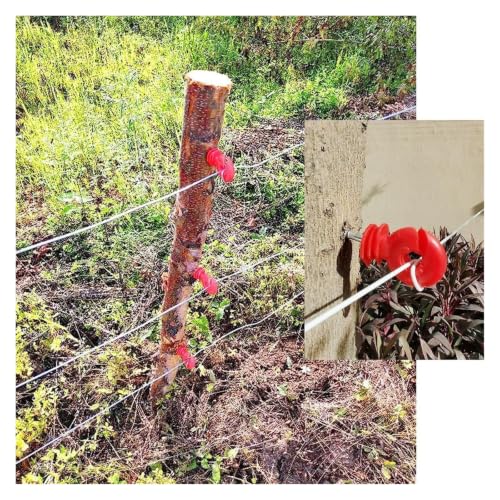 Electric Fencing Ring Insulators Electric Fence Trellis Insulation Nail Insulator for Livestock Breeding Pasture Trong Wire Connections(Red 10pcs) - color: Red 10pcs