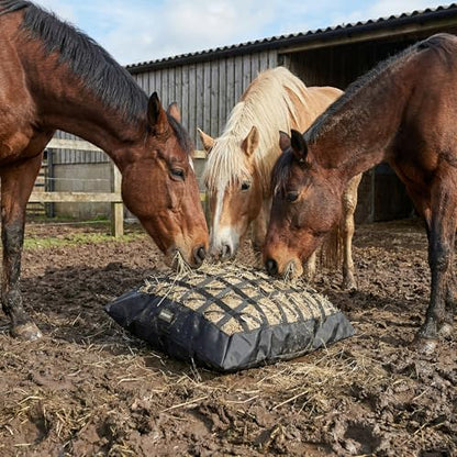Hay Bag for Horses,Ultra-Slow Feed Hay Bag for Ground Feeding,Designs for Horses,Goats,Cows,Premium 1680D Oxford Cloth,Easy to Fill and Hang with Wide Opening and Adjustable Straps (1)