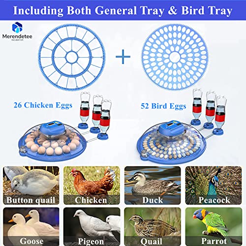 26-52 Eggs Automatic Incubator with Upgrade Automatic Water Adding, 360 Degree View, Egg Turner, Temperature Control, Egg Candler, for Hatching Eggs, Without Installation Use - size: 8-BLUE1