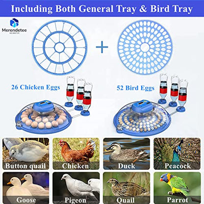 26-52 Eggs Automatic Incubator | Upgrade Automatic Water Adding |360 Degree View | incubators for Hatching Eggs |Without Installation Use - size: 26-BLUE2