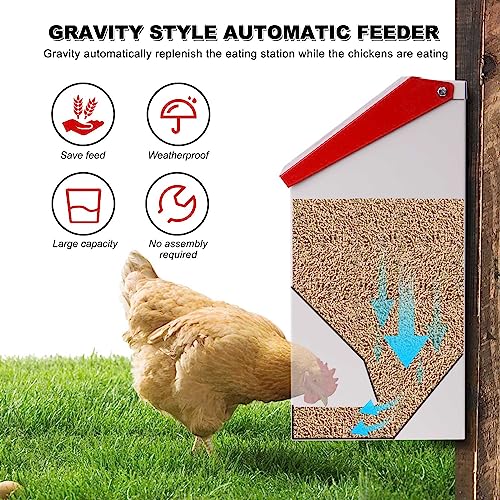 Automatic Metal Chicken Feeder Galvanized Poultry Feeder with Lid Outdoor Wall Mount Chicken Food Dispenser Gravity Fed Chicken Feeder Weatherproof No Waste Quail Duck Feeder (10LBS)