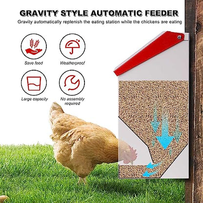 Automatic Metal Chicken Feeder Galvanized Poultry Feeder with Lid Outdoor Wall Mount Chicken Food Dispenser Gravity Fed Chicken Feeder Weatherproof No Waste Quail Duck Feeder (10LBS)
