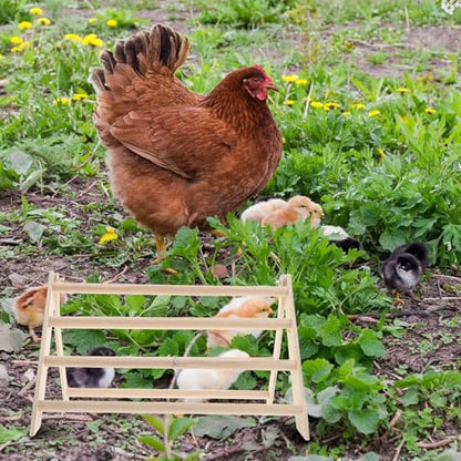 YARNOW Chicken Perch Stand Wooden Roosting Bar for Baby Chicks Detachable Easy Clean Poultry Coop Accessory 14.56X12.59X7.87 Inches