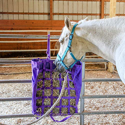 Majestic Ally Pack of 2 Adjustable Halter for Horses–Adjustable Chin and Crown– Sewn-in Throat Snap Hook- Heavy Duty Rose Gold or Black Nickel Finish Hardware–Full - color: Hunter Green