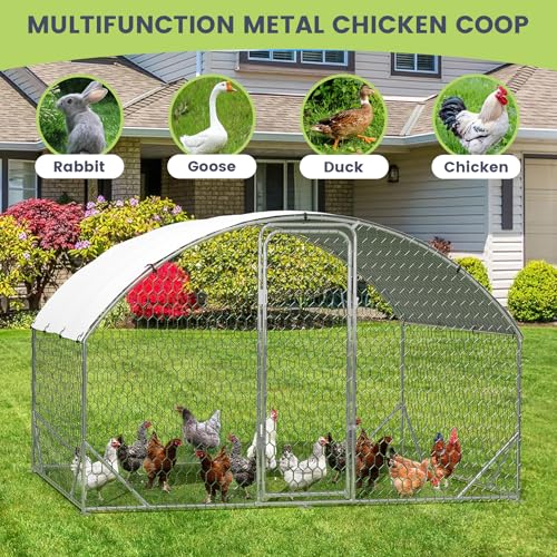 Large Metal Chicken Coop, Walk-in Poultry Cage, Large Chicken Run with Waterproof & Anti-UV Cover, Chicken Coop Run with Lockable Doors for Outdoor, 9.8 x 6.5 x 6.5FT - size: 9.8' W x 6.5' L x 6.6' H