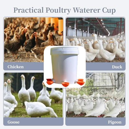 Chicken Waterer Cups 5 Packs,Duck Chick Waterer Chicken Feeder Cups,Automatic Waterer Feeder with Anti-Leak System for Chicken,Duck,Goose,Bunny(Orange) - color: Orange