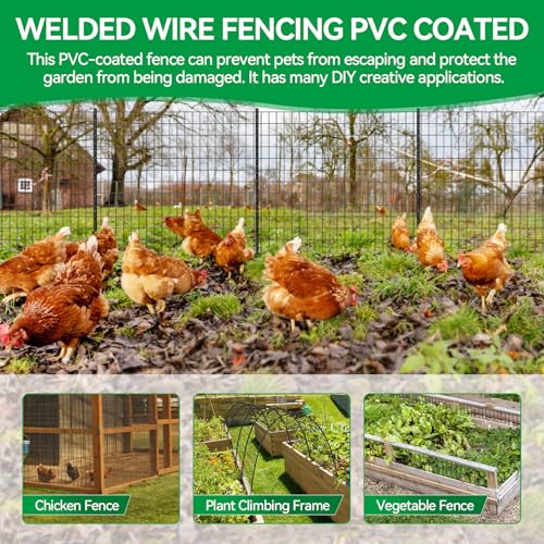 Welded Wire Fence, 50ft(L) x 36inch(H) PVC Anti-Rust Coated Wire Mesh, 2 Inch x 3 Inch 16GA Garden Edging Border, Roll Metal Animal Barrier for Yard Vegetable Plant Protection Poultry Netting - size: 50ft(L) x 36inch(H)