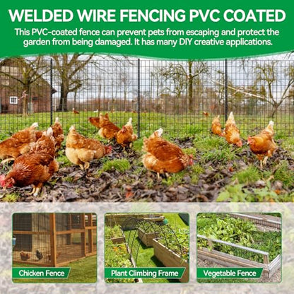 Welded Wire Fence, 50ft(L) x 36inch(H) PVC Anti-Rust Coated Wire Mesh, 2 Inch x 3 Inch 16GA Garden Edging Border, Roll Metal Animal Barrier for Yard Vegetable Plant Protection Poultry Netting - size: 50ft(L) x 36inch(H)