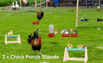 7 Pack Chick Feeder and Waterer Kit No Waste with Chick Perch Flip Top Small Poultry Feeder Trough Quail Feeding Supplies Baby Chick Starter Kit for Chicken Coop Brooder Duck Quail Gravity