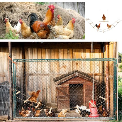3 Pack Chicken Boredom Buster, Natural Wooden 2 Swing and Ladder Set for Coops, Essential Enrichment Accessories for Hens, Chickens and Parrots