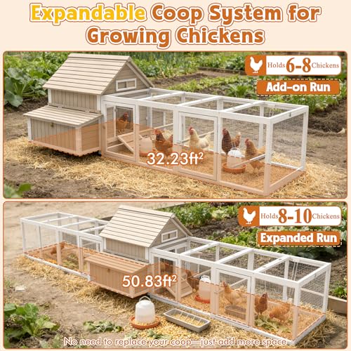 Ketive Extra Large Chicken Coop with 2 Runs for 8–10 Chickens Outdoor Wooden Hen House Poultry Cage with 6 Nesting Boxes, Dual Ramp Doors, Slide-Out Tray & Curved Roof (198.6" L x 38" W x 40.2" H) - size: 198.6"L x 38.0"W x 40.2"H