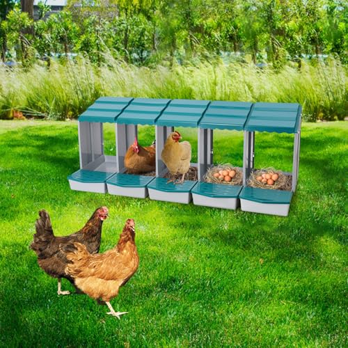 Chicken Nesting Boxes, 5 Compartment Nesting Boxes for Laying Eggs, Roll Away Nesting Box Egg Collection Tray, Wall Mount Poultry Roll Away Chicken Laying Boxes (Green) - color: 5 Compartment Nesting Boxes (Green)
