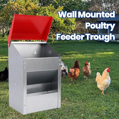 Zopsc Galvanized Wall Mount Chicken Feeder, Automatic Poultry Feeder with Lid, Weatherproof Trough Food Dispenser for Outside Coop, 10lbs Capacity