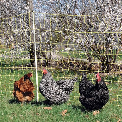 Premier 1 Portable Electric Chicken Net with Built-in Posts | 48"H x 164'L | Yellow Poultry Fence for Backyard Chickens, Ducks, Turkeys