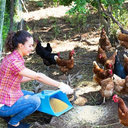 Large Feed Scoop, Enclosed Bucket Design, 21x24.5x10.5cm, Livestock Feed Side Handle Scoop, Animal Feeding Shovel, Sturdy Edges, for Bird Horse Goat Sheep Cattle Restaurant Kitchen