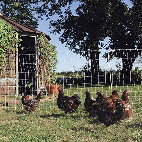 Premier 1 PoultryNet® Plus, Starter Kit for Chickens – 48"H x 100'L | White/black. Includes solar energizer, support posts & tester. Double spike, posts every 6.8 ft to reduce sag. For chickens.