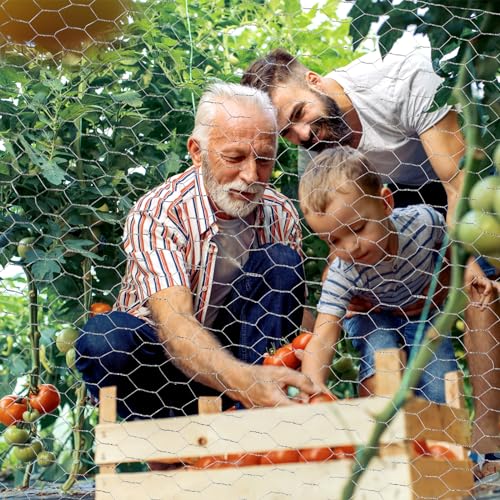 ROADPLUM 13.8 in x 49 ft Chicken Wire Fencing, Rustproof Galvanized Iron Chicken Wire Mesh for Pet Rabbit, Floral Chicken Wire Roll Netting to Protect Poultry Plant Fruit - size: 13.8 x 590 in