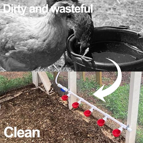 8pack Large Poultry Waterer, Professional Chicken Water Cups for Poultry LANARP Float Style Gravity Chicken Watering System, Tee Fittings Poultry Waterer Suitable, with Mounting Hole Opener (8)