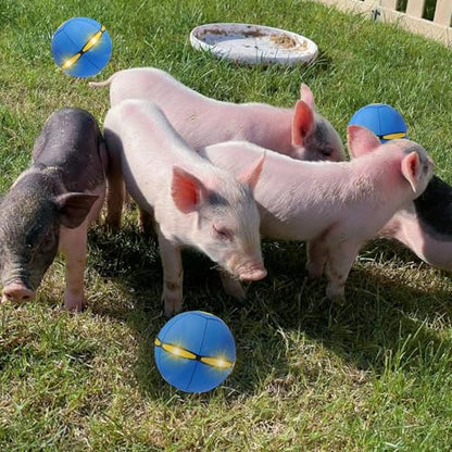 Pig Toy - Toy for Pigs, Interactive Pig Flying Saucer Disc Ball Toys with 6 Lights for Mini Pigs, Enrichment Play for Pet Pigs Supplies Enjoyment and Fun - color: Blue