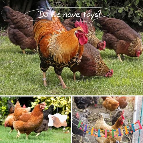 Chicken Coops Accessories 12PCS Chicken Toys Including Xylophone Swing Set Mirror Toy Flexible Ladder Vegetable String Bag and Hanging Feeder Coops Accessories for Hens