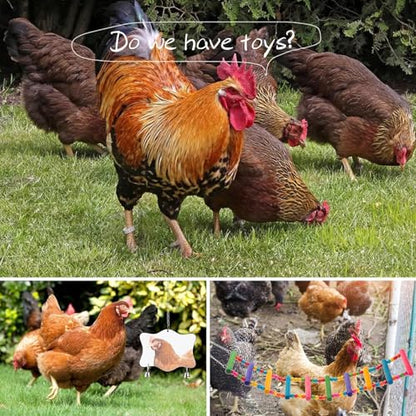 Chicken Coops Accessories 12PCS Chicken Toys Including Xylophone Swing Set Mirror Toy Flexible Ladder Vegetable String Bag and Hanging Feeder Coops Accessories for Hens