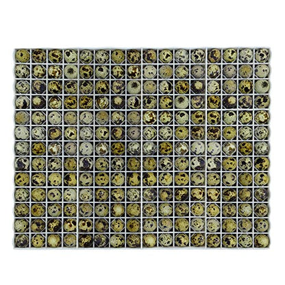 Hatching Time Egg Setter Tray (208 Quail Eggs), Good Fit, Durable, Washable, Easy to Clean, Cimuka, Fits Incubators, ABS Plastic - style: 208 Egg Setter Tray - Quail