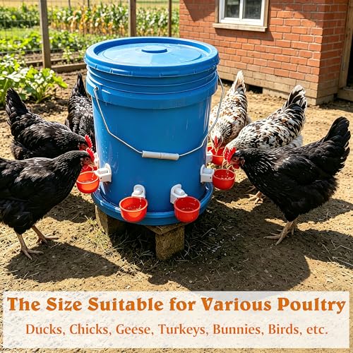 8pcs Large Automatic Chicken Waterer Cups | Chicken Water Feeder Suitable for Chicks, Duck, Goose, Turkey and Bunny | Poultry Water Feeder Kit