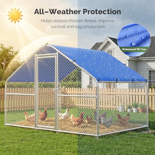 Sino Luban Metal Chicken Coop Run 6.6x6.6ft, Large Chicken Runs for Yard with Waterproof Cover, Outdoor Chicken Pen Chicken Enclosure, Walk-in Poultry Cage with Upgrade wall Support Brace - size: 6.6x6.6 FT - Chicken Wire